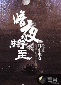 《暗夜将至》全本 作者：耳东水寿-免费小说下载-听风雨阅读