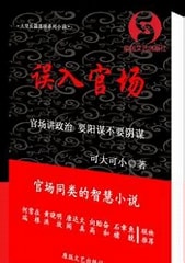 《误入官场》作者：可大可小-免费小说下载-听风雨阅读
