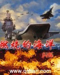 《燃烧的海洋》作者：闪烁-免费小说下载-听风雨阅读