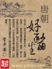 《唐朝好医生》校对全本 作者：望平安-免费小说下载-听风雨阅读