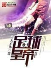 《足球皇帝》校对全本 作者：天天不休-免费小说下载-听风雨阅读