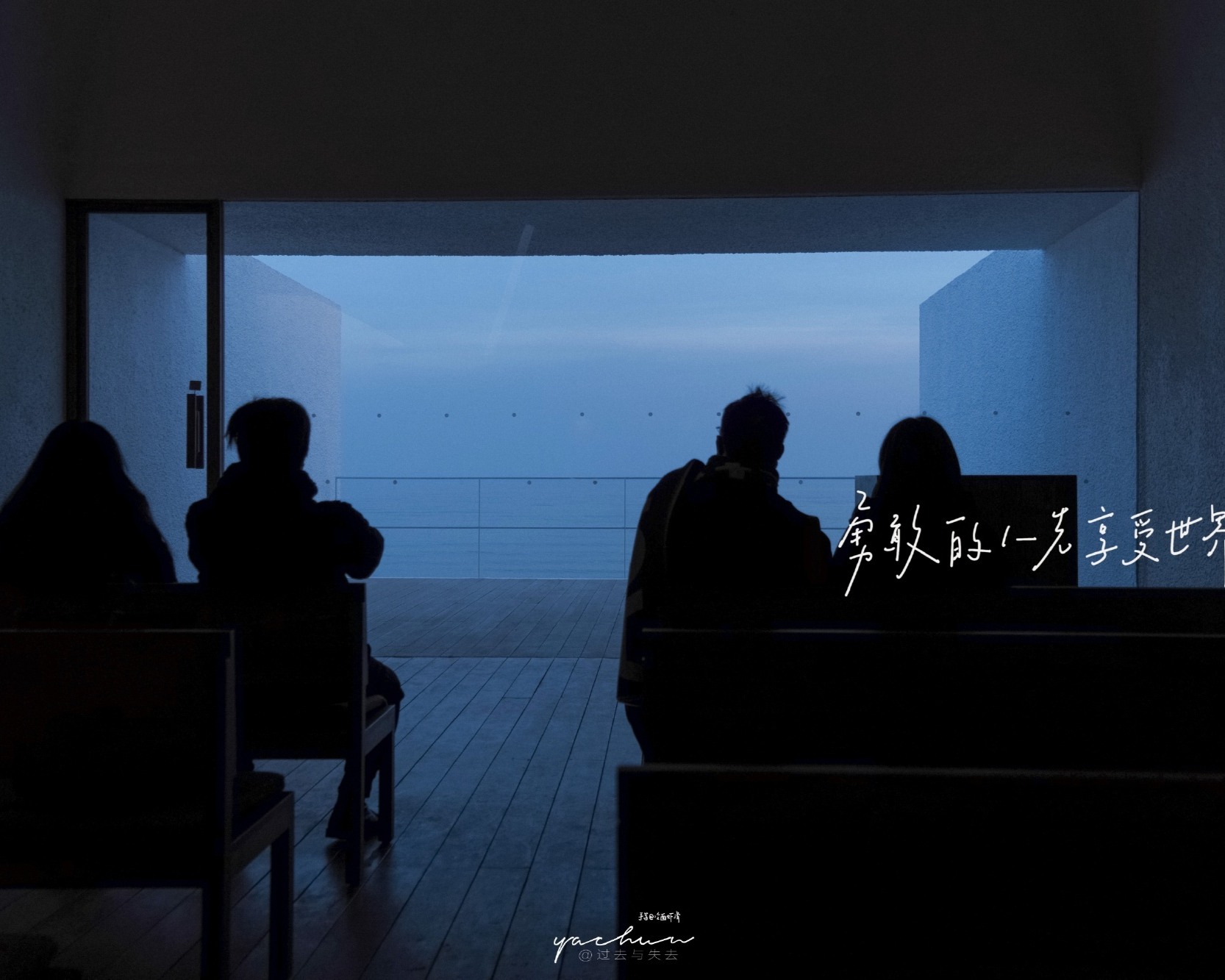 《极品司机》校对全本 作者：水煮排骨-免费小说下载-听风雨阅读