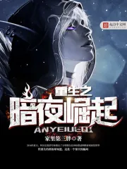 《重生之暗夜崛起》校对全本 作者：家里第三胖-免费小说下载-听风雨阅读