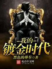 《我的镀金时代》校对全本 作者：黑色的单车-免费小说下载-听风雨阅读