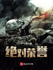 《绝对荣誉》校对全本 作者：严七官-免费小说下载-听风雨阅读