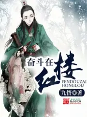 《奋斗在红楼》校对全本 作者：九悟-免费小说下载-听风雨阅读
