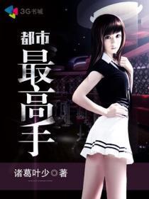 《都市最高手》校对全本 作者：诸葛叶少-免费小说下载-听风雨阅读