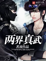 《两界真武》校对全本 作者：茗夜……-听风雨阅读