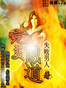 《完美贼道》校对全本 作者：失败男人-免费小说下载-听风雨阅读