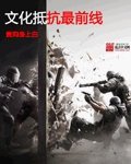 《文化抵抗最前线》校对全本 作者：黄狗身上白-免费小说下载-听风雨阅读