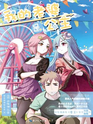 《我的老婆是公主》精校全本 作者：初恋璀璨如夏花-免费小说下载-听风雨阅读