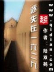《迷失在一六二九》校对全本 作者：陆双鹤-免费小说下载-听风雨阅读