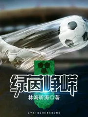 《绿茵峥嵘》校对全本 作者：林海听涛-免费小说下载-听风雨阅读