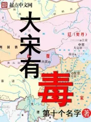 《大宋有毒》校对全本 作者：第十个名字-免费小说下载-听风雨阅读