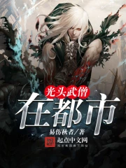 《光头武僧在都市》校对全本 作者：易伤秋者-免费小说下载-听风雨阅读