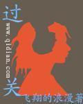 《过关》校对全本 作者：飞翔的浪漫-免费小说下载