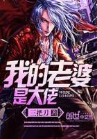 《我的老婆是大佬》校对全本 作者：三把刀-免费小说下载-听风雨阅读
