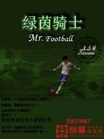 《绿茵骑士》校对全本 作者：木子柒7-免费小说下载-听风雨阅读
