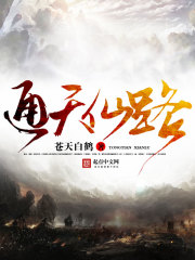 《通天仙道》校对全本 作者：半只小狼-免费小说下载-听风雨阅读