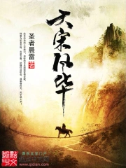《大宋风华》校对全本 作者：圣者晨雷-免费小说下载-听风雨阅读