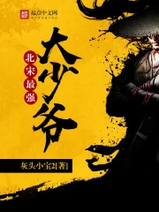 《北宋最强大少爷》校对全本 作者：灰头小宝2-免费小说下载-听风雨阅读