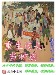 《重生过去当神厨》校对全本 作者：锋临天下-免费小说下载-听风雨阅读