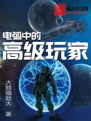 《电弧中的高级玩家》校对全本 作者：大脸猫脸大-免费小说下载-听风雨阅读