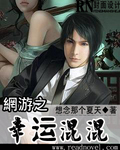 《网游之幸运混混》校对全本 作者：想念那个夏天-免费小说下载-听风雨阅读