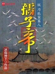 《孺子帝》校对全本 作者：冰临神下-免费小说下载-听风雨阅读