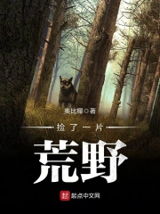 《捡了一片荒野》校对全本 作者：奥比椰-免费小说下载-听风雨阅读