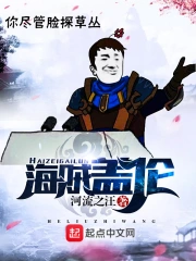 《海贼盖伦》校对全本 作者：河流之汪-免费小说下载-听风雨阅读