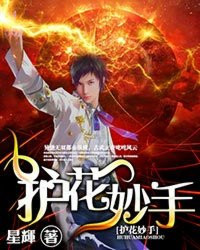 《护花妙手》校对全本 作者：星辉-免费小说下载-听风雨阅读