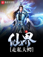 《仙界走私大鳄》校对全本 作者：石三-免费小说下载-听风雨阅读