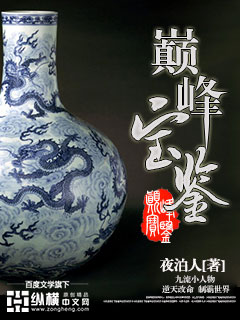 《巅峰宝鉴》校对全本 作者：夜泊人-免费小说下载-听风雨阅读