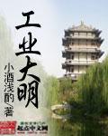 《工业大明》校对全本 作者：小酒浅酌-免费小说下载-听风雨阅读