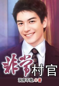 《非常村官》校对全本 作者：洞房不败-免费小说下载-听风雨阅读