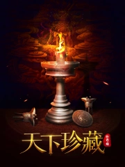 《天下珍藏》校对全本 作者：烛-免费小说下载-听风雨阅读