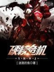 《硬核危机》校对全本 作者：迷路的鱼-免费小说下载-听风雨阅读