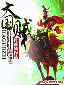 《大国贼》校对全本 作者：付麒麟-免费小说下载-听风雨阅读