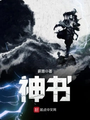 《神书》校对全本 作者：薪意-免费小说下载-听风雨阅读