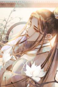 《林家子的青云路[红楼]》作者：大河东流-免费小说下载-听风雨阅读