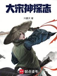 《大宋神探志》全本 作者：兴霸天-免费小说下载-听风雨阅读
