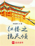 《红楼之挽天倾》全本 作者：林悦南兮-免费小说下载-听风雨阅读