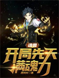 《魂兽：开局先天满魂力》全本 作者：混沌火-免费小说下载-听风雨阅读