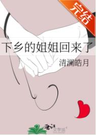 《下乡的姐姐回来了》全本 作者：清澜皓月-免费小说下载-听风雨阅读