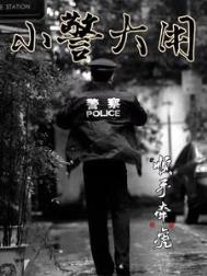 《小警大用》全本 作者：顺手牵虎-免费小说下载-听风雨阅读