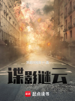 《谍影谜云》全本 作者：深蓝的国度-免费小说下载-听风雨阅读