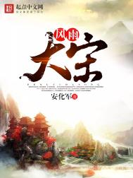 《风雨大宋》全本 作者：安化军-免费小说下载-听风雨阅读