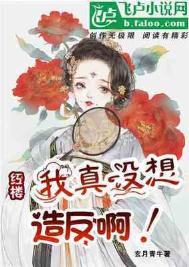 《红楼：我真没想造反啊》全本 作者：玄月青牛-免费小说下载-听风雨阅读