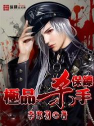 《极品杀手保镖》全本 作者：李寒羽-免费小说下载-听风雨阅读